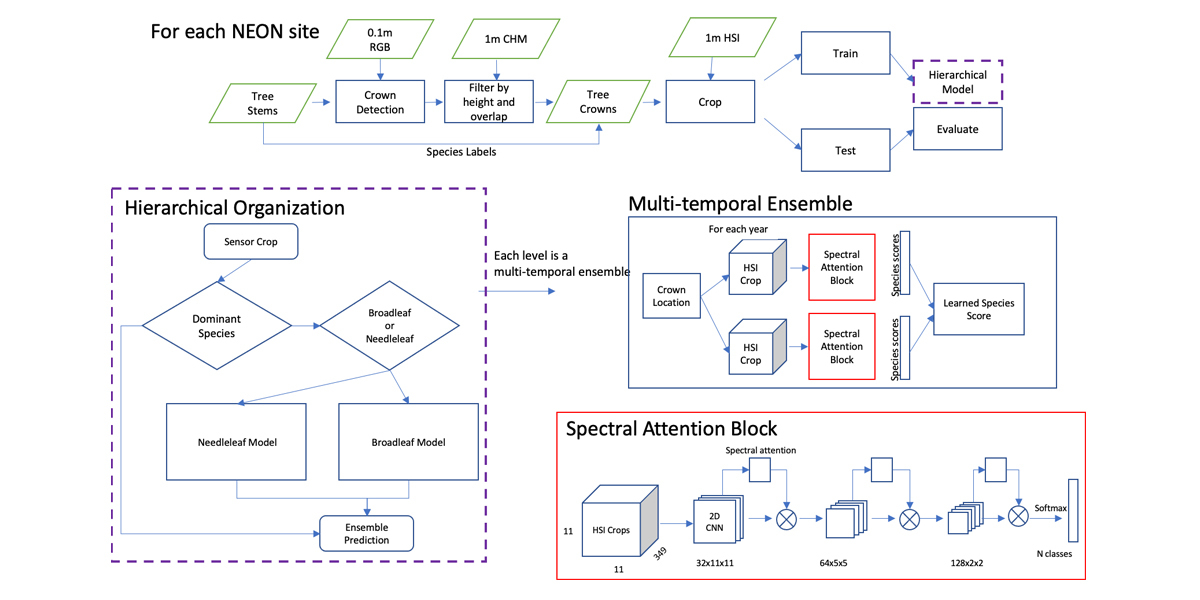 NEON Workflow