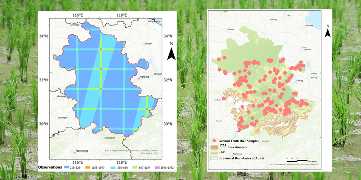 Rice Monitoring 2