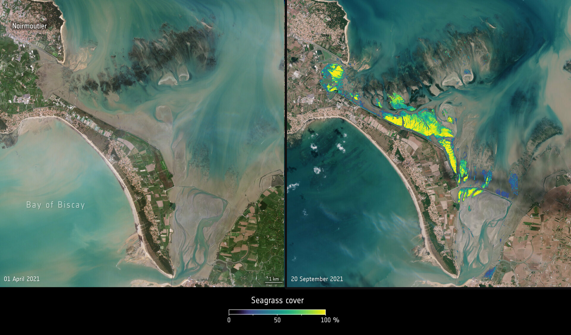 Sentinel 2 Bourgneuf