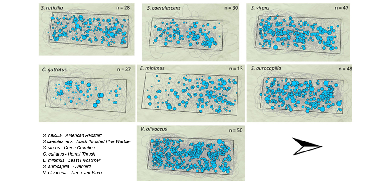 Spatial Distribution