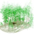 Mobile LIDARs Role in Bringing Industry 4 0 to Norwegian Forestry 800x400px