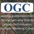 Blockchain and Distributed Ledger Technologies (BDLT) Domain Working Group (from import)