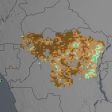 NASA satellites show drought may take toll on Congo rainforest (from import)