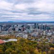 Montreal versus the emerald ash borer (from import)