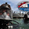 Sonardyne demonstrates Sentinel diver and UUV tracking at ANTX (from import)