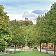 Bluesky National Tree Map Helps Dudley Council Protect Urban Trees (from import)