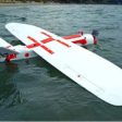 Pioneering steps into fixed wing - water landing drones in marine ecology (from import)
