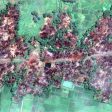 Myanmar: Satellite Images Show Massive Fire Destruction (from import)