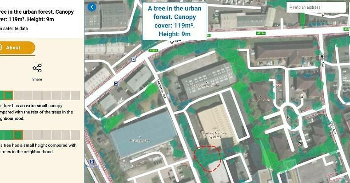 Bluesky Tree Map Enhances Online Urban Forest Mapping Platform