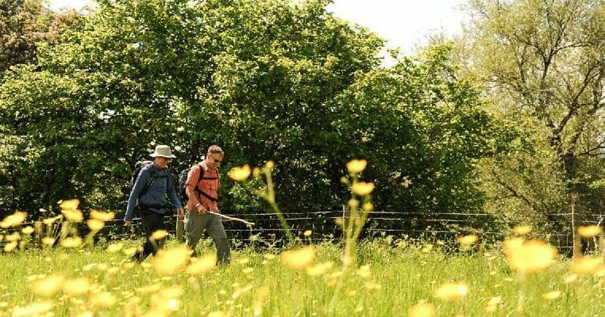 Web Mapping To Support The National Forest S 25 Year Vision GeoConnexion   Walkers 800x400 1 