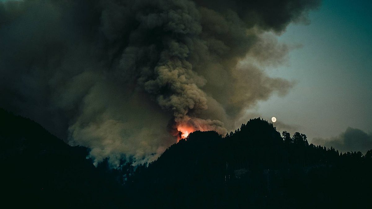 Disaster Tech 800x400