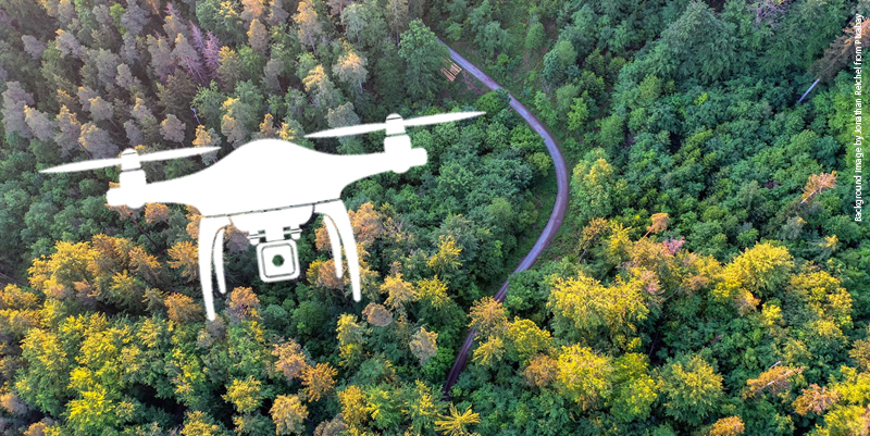 Drone over forest lead THUMBNAIL