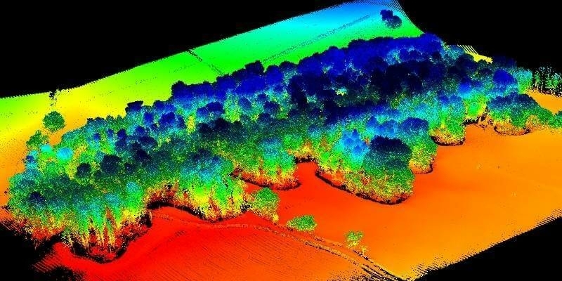 Image 5 UAV Li DAR point cloud of the forest 1