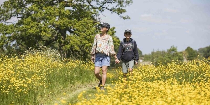 NT meadow 800x400