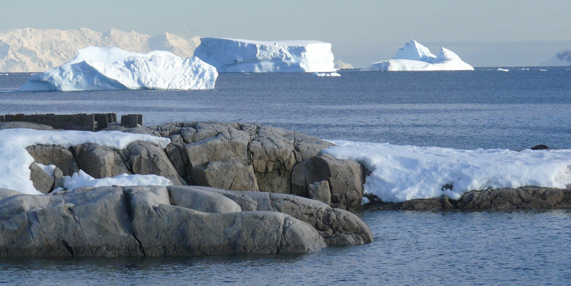 Antarctic sea ice THUMBNAIL