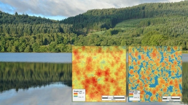 Bluesky LiDAR Maps Used to Monitor the Spread of Deadly Tree Disease (from import)