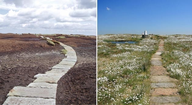 Bluesky Aerial Photos Help South Pennines Moor Conservation (from import)