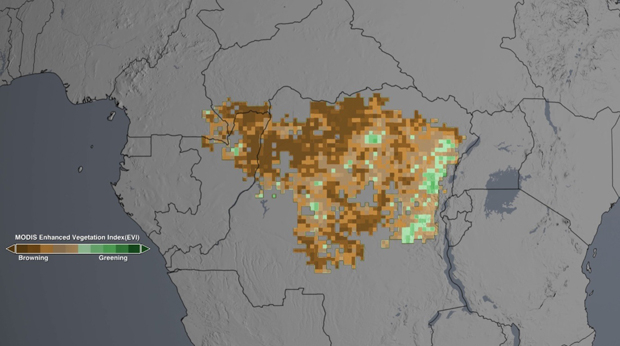 NASA satellites show drought may take toll on Congo rainforest (from import)