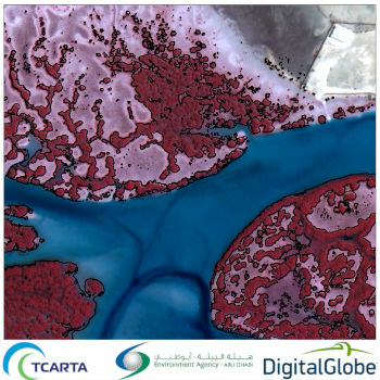 Satellite-Derived Mangrove Health Assessment Delivered to Abu Dhabi (from import)