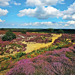 Bluesky’s Aerial Photomaps Help Protect Norfolk’s Wildlife (from import)