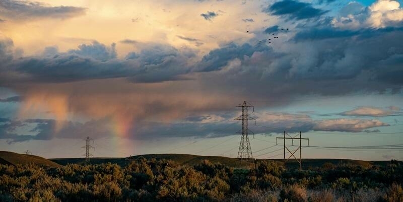 Powerlines 800x400