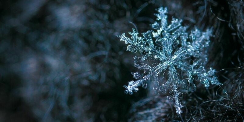 Snowflake 800x400