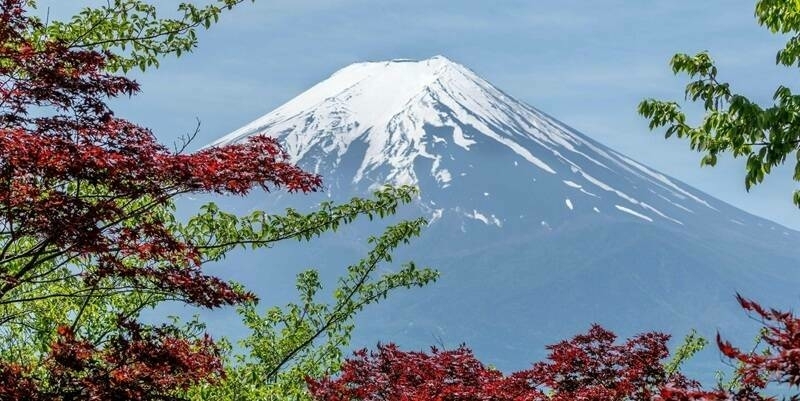 Tokyo japan 800x400