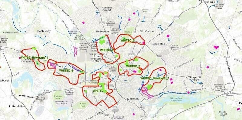 Anglian Water proactive works
