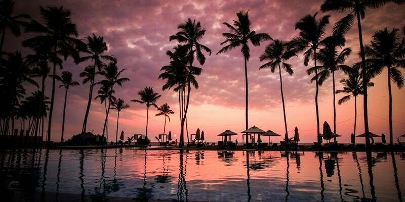 Bentley Hawaii 800x400