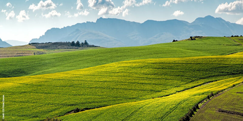 Crop Mapping lead THUMBNAIL
