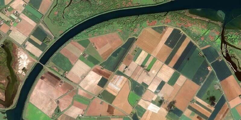 Crops monitored from space in South Holland 800x400