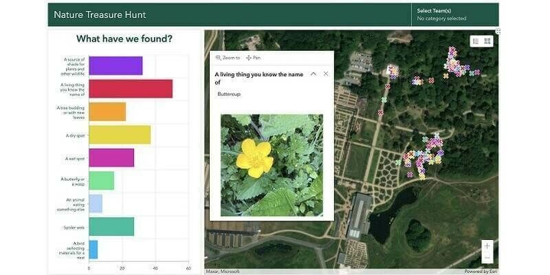 Esri UK nature treasure hunt dashboard 800x400