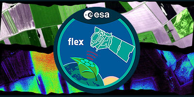 FLEX Thumbnail