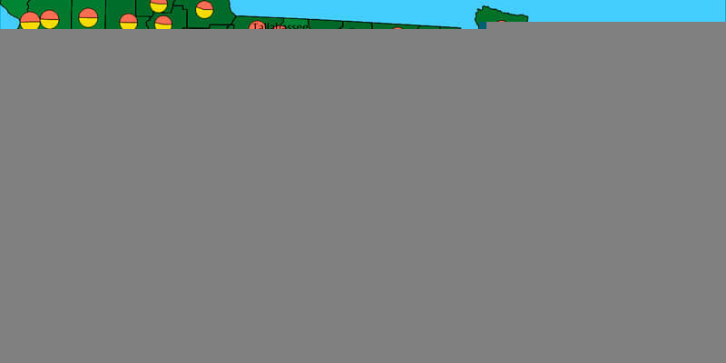 Int v19 i7 News Surfer 19 Graphic2