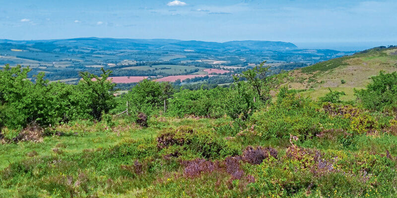 Int v19 i7 Quantock Hills Triscombe Quarry