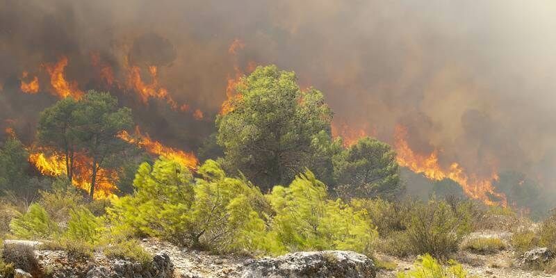 NP 028 Fireurisk 800x400 1