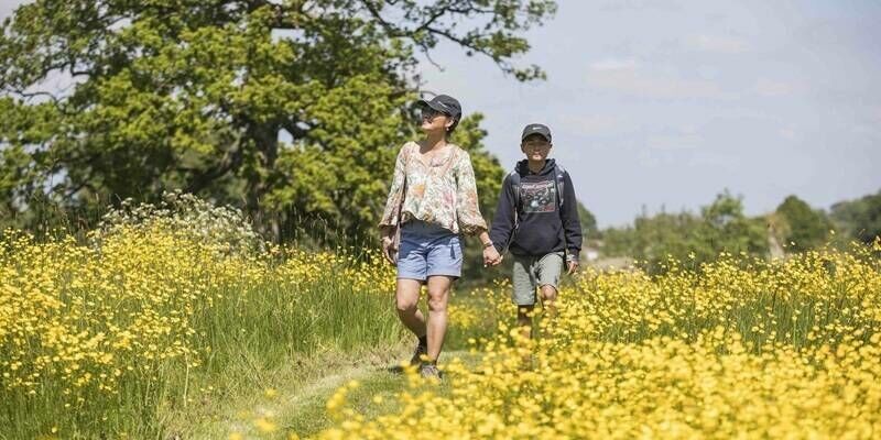 NT meadow 800x400