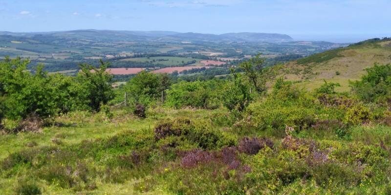 Quantock Hills Triscombe Quarry View 2