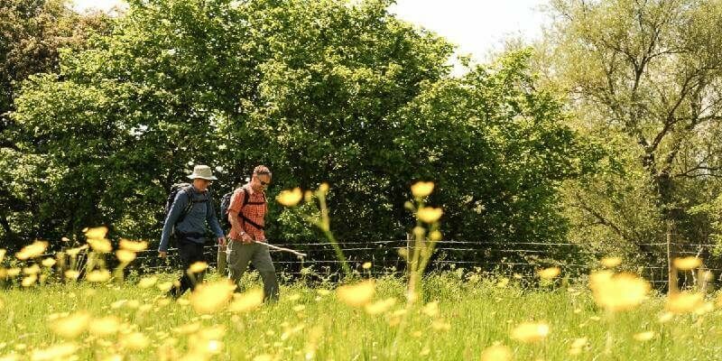 Walkers 800x400 1