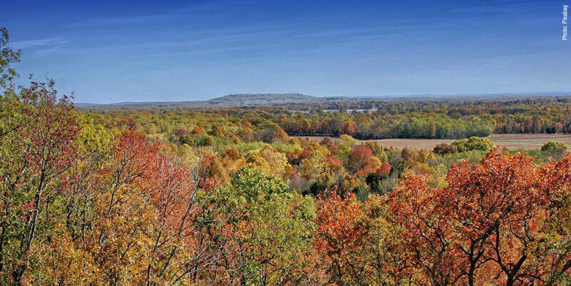 Arkansas 143701 1280 1 THUMBNAIL