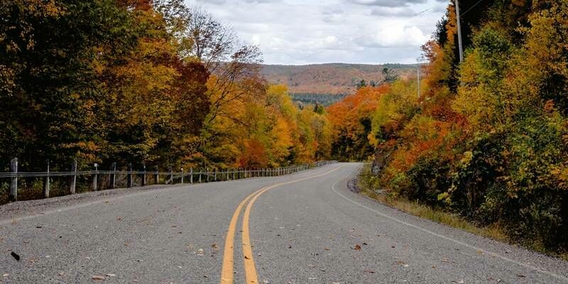 Esri roads 800x400