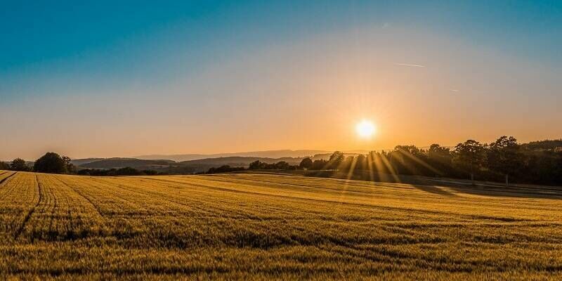 Farmland 800x400