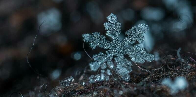 Fme snowflake 800x400