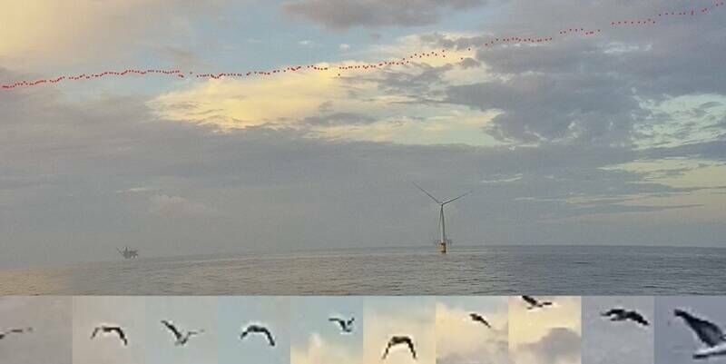 Fugro ai 800x400