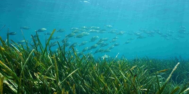 Fugro march2024 800x400