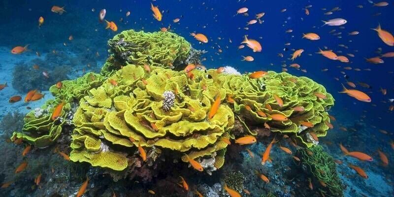 Fugro ocean 800x400