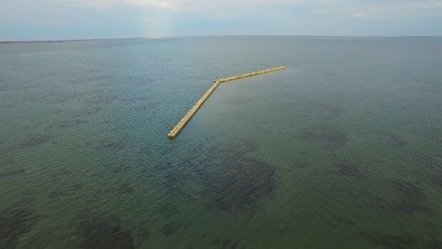CSA Seagrass Enhancement Project in North Carolina Underway (from import)
