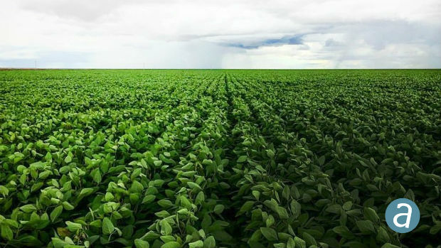 SimActive Software for Precision Agriculture in Brazil (from import)
