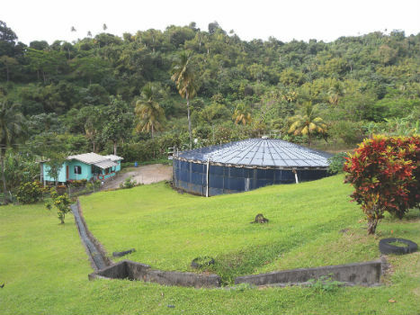 Working to improve the resilience of Caribbean water supply (from import)