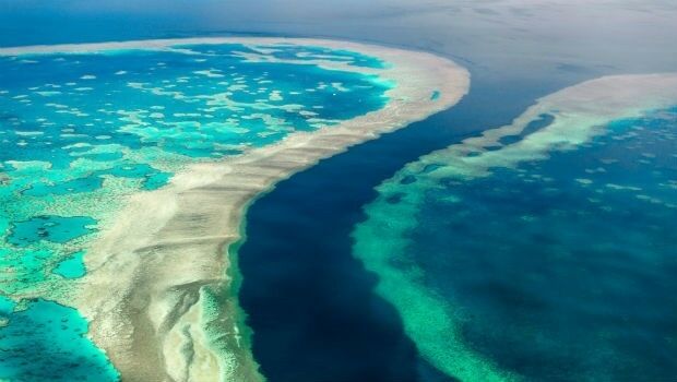 What’s behind the ground-breaking 3D habitat map of the Great Barrier Reef? (from import)